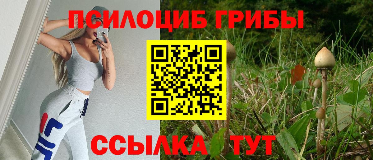 Псилоцибиновые грибы Magic Shrooms Чернушка
