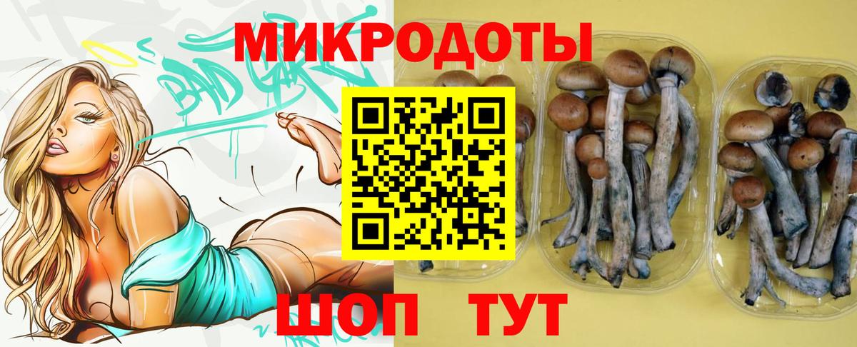 Галлюциногенные грибы мухоморы  Вход с VPN  Чернушка  Галлюциногенные грибы ЛСД 
